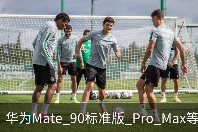 华为Mate 90标准版/ Pro Max等机型开放24期免息分期活动，国补价5499元起