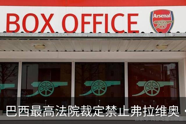 巴西最高法院裁定禁止弗拉维奥·博索纳罗离境