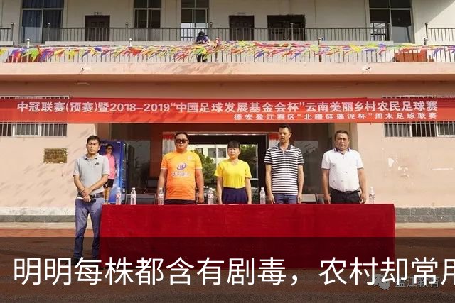 明明每株都含有剧毒，农村却常用来做腌菜，如今为何消失不见？