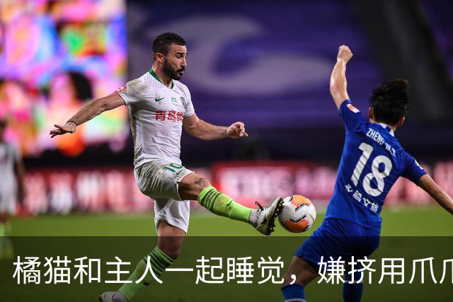 橘猫和主人一起睡觉，嫌挤用爪爪推人，全网萌翻：咋还藏了只小鸡