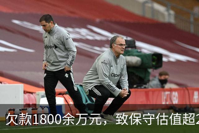 欠款1800余万元，致保守估值超2.5亿元的295套房产被查封3年