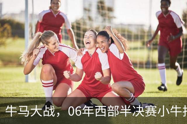 牛马大战，06年西部半决赛小牛抢七险胜马刺，邓肯场均32+12，诺维茨基什么数据？