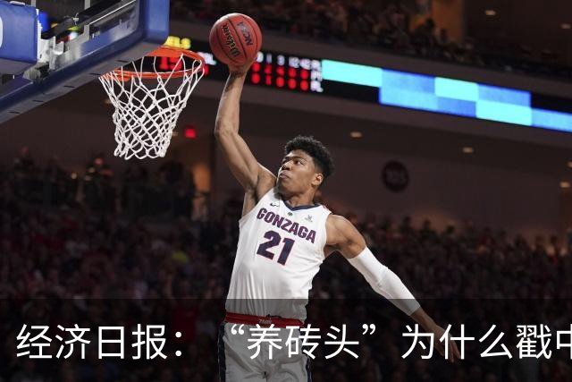 经济日报：“养砖头”为什么戳中年轻人？