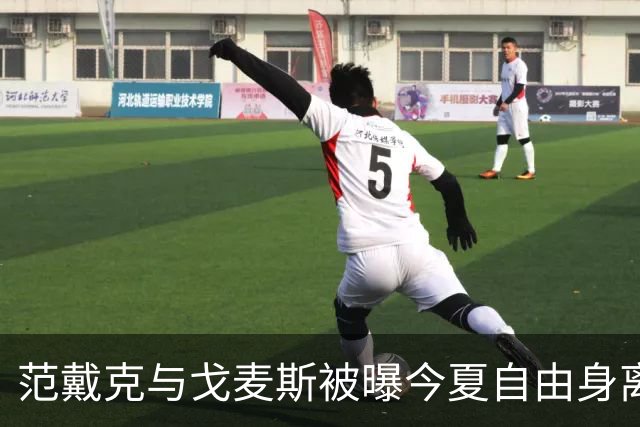 范戴克与戈麦斯被曝今夏自由身离队，利物浦双线告急