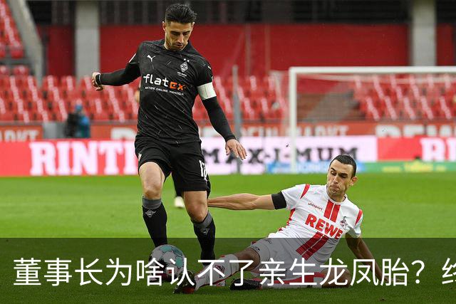 董事长为啥认不了亲生龙凤胎？终于真相大白！