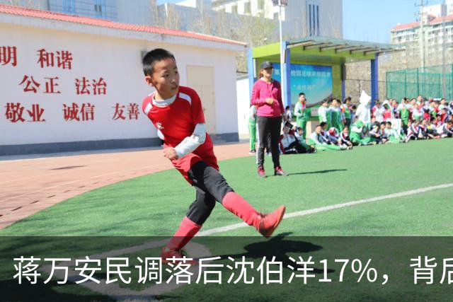蒋万安民调落后沈伯洋17%，背后真相不一般，蒋万安罗智强回应了