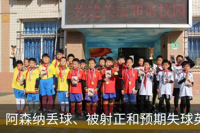 阿森纳丢球、被射正和预期失球英超最少，埃弗顿最近8个客场无胜