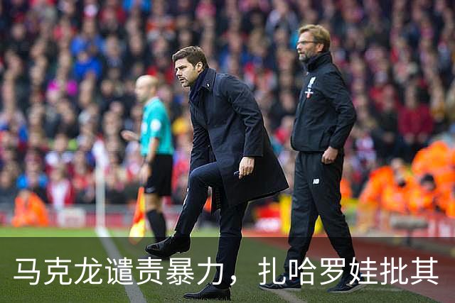 马克龙谴责暴力，扎哈罗娃批其“双标”